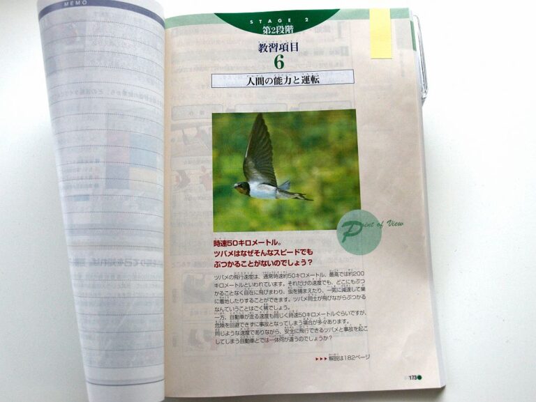 ツバメ飛翔写真