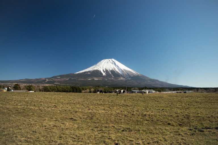 富士山