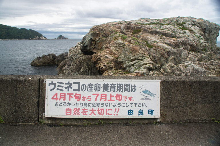 ウミネコの繁殖地白崎海岸の写真画像